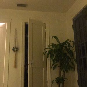 Meet your Posher, Quincy